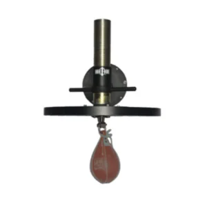 A punching bag hanging from the ceiling.