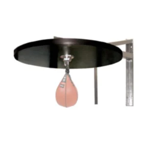 A punching bag hanging from the ceiling of a room.