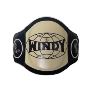 A close up of the windy logo on a belt