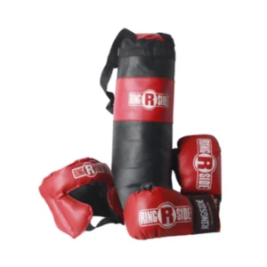 A boxing bag and gloves are shown here.