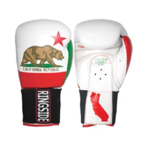 A pair of boxing gloves with the california flag on them.